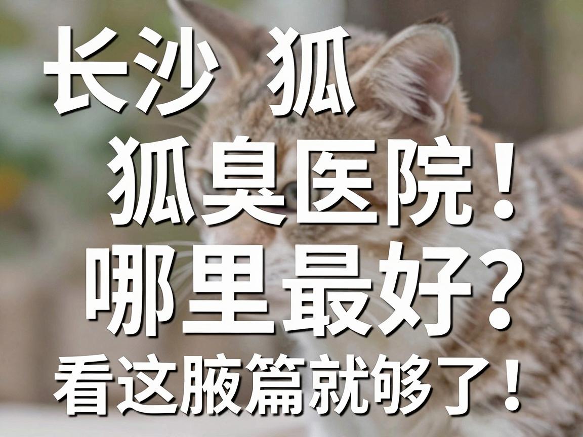 狐臭医院哪里最好?长沙狐臭医院的选择标准,看这篇就够了 狐臭医院哪里最好?长沙狐臭医院的选择标准,看这篇就够了